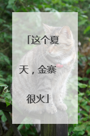 这个夏天，金寨很火