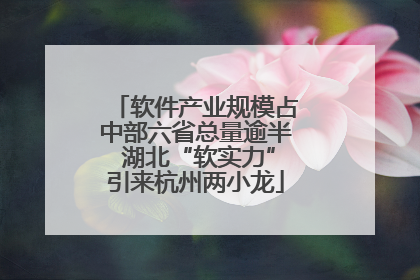 软件产业规模占中部六省总量逾半 湖北“软实力”引来杭州两小龙