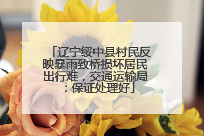 辽宁绥中县村民反映暴雨致桥损坏居民出行难，交通运输局：保证处理好