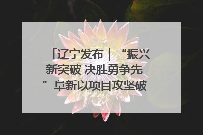 辽宁发布｜“振兴新突破 决胜勇争先”阜新以项目攻坚破解发展瓶颈 经济发展实现良好开局