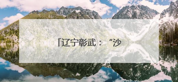 辽宁彰武：“沙窝子”焕新颜