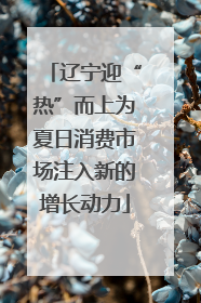 辽宁迎“热”而上为夏日消费市场注入新的增长动力