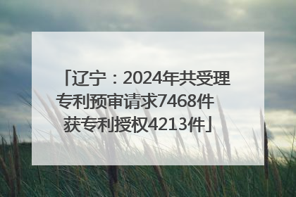 辽宁：2024年共受理专利预审请求7468件 获专利授权4213件