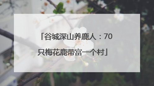 谷城深山养鹿人：70只梅花鹿带富一个村