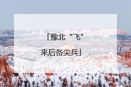 豫北“飞”来后备尖兵
