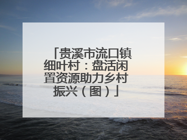 贵溪市流口镇细叶村：盘活闲置资源助力乡村振兴（图）