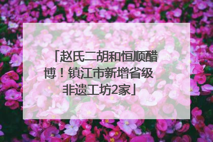 赵氏二胡和恒顺醋博！镇江市新增省级非遗工坊2家