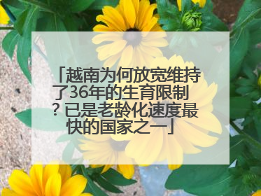 越南为何放宽维持了36年的生育限制？已是老龄化速度最快的国家之一