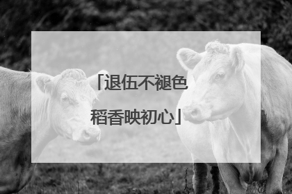 退伍不褪色 稻香映初心
