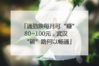 通勤族每月可“赚”80~100元，武汉“碳”路何以畅通