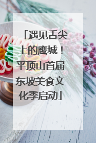 遇见舌尖上的鹰城！平顶山首届东坡美食文化季启动