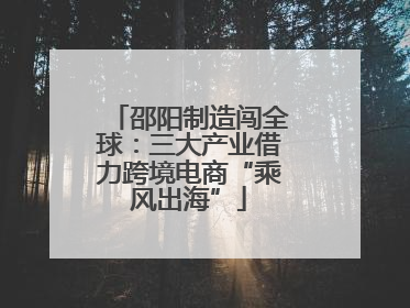 邵阳制造闯全球：三大产业借力跨境电商“乘风出海”