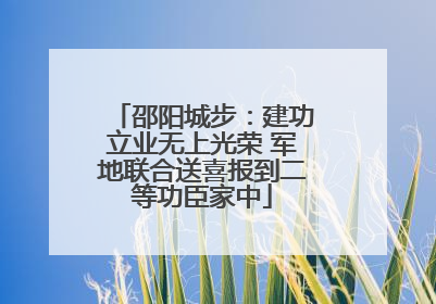 邵阳城步：建功立业无上光荣 军地联合送喜报到二等功臣家中