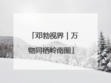 邓勃视界｜万物同栖岭南图