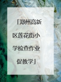 郑州高新区莲花街小学检查作业促教学