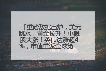 重磅数据出炉，美元跳水，黄金拉升！中概股大涨！英伟达涨超4%，市值重返全球第一！黄仁勋计划出售至多600万股股票