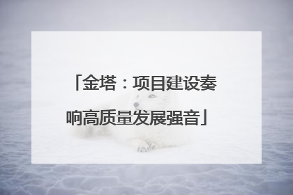 金塔：项目建设奏响高质量发展强音