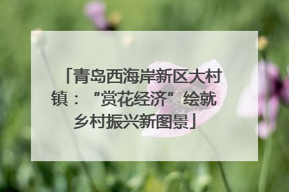 青岛西海岸新区大村镇：“赏花经济”绘就乡村振兴新图景