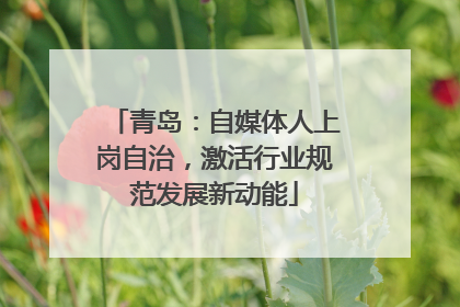 青岛：自媒体人上岗自治，激活行业规范发展新动能