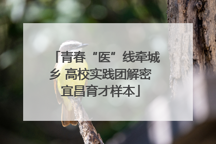 青春“医”线牵城乡 高校实践团解密宜昌育才样本