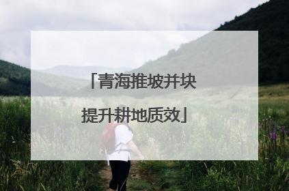 青海推坡并块提升耕地质效
