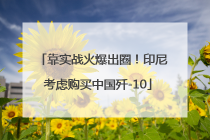 靠实战火爆出圈！印尼考虑购买中国歼-10