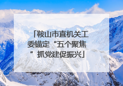 鞍山市直机关工委锚定“五个聚焦”抓党建促振兴