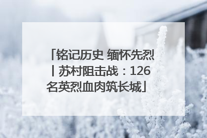 铭记历史 缅怀先烈丨苏村阻击战：126名英烈血肉筑长城