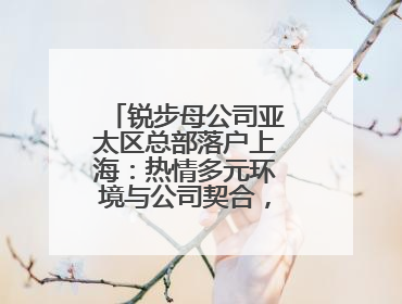 锐步母公司亚太区总部落户上海：热情多元环境与公司契合，中国市场潜力带来重要机遇