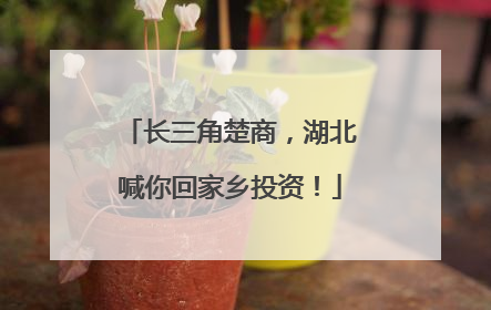 长三角楚商，湖北喊你回家乡投资！