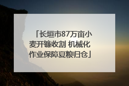 长垣市87万亩小麦开镰收割 机械化作业保障夏粮归仓