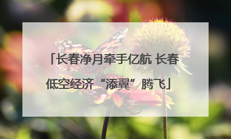 长春净月牵手亿航 长春低空经济“添翼”腾飞