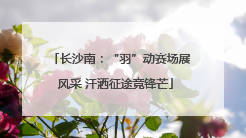 长沙南：“羽”动赛场展风采 汗洒征途竞锋芒