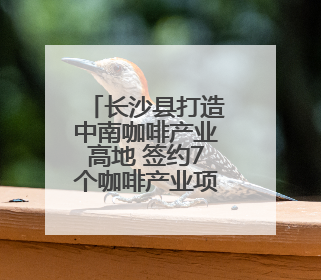 长沙县打造中南咖啡产业高地 签约7个咖啡产业项目