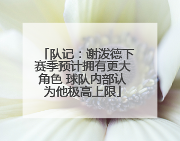 队记：谢泼德下赛季预计拥有更大角色 球队内部认为他极高上限