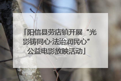 阳信县劳店镇开展“光影铸同心·法治润民心”公益电影放映活动