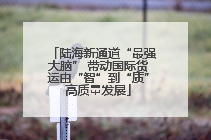陆海新通道“最强大脑” 带动国际货运由“智”到“质”高质量发展