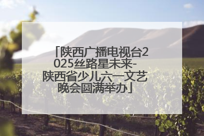 陕西广播电视台2025丝路星未来-陕西省少儿六一文艺晚会圆满举办