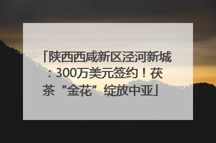 陕西西咸新区泾河新城：300万美元签约！茯茶“金花”绽放中亚