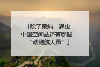 除了果蝇、涡虫 中国空间站还有哪些“动物航天员”