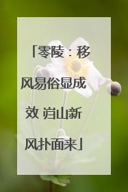 零陵：移风易俗显成效 岿山新风扑面来