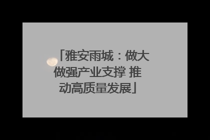 雅安雨城：做大做强产业支撑 推动高质量发展