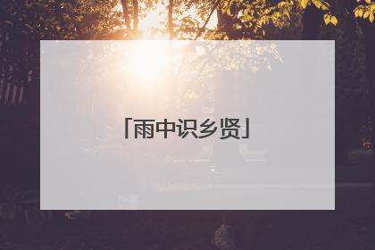 雨中识乡贤