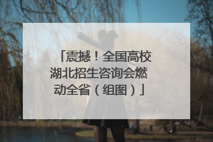震撼！全国高校湖北招生咨询会燃动全省（组图）