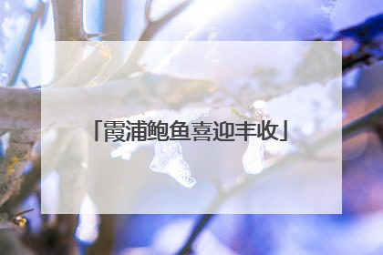 霞浦鲍鱼喜迎丰收