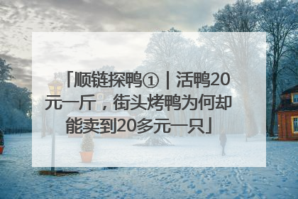 顺链探鸭①｜活鸭20元一斤，街头烤鸭为何却能卖到20多元一只
