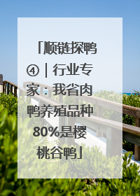 顺链探鸭④｜行业专家：我省肉鸭养殖品种80%是樱桃谷鸭