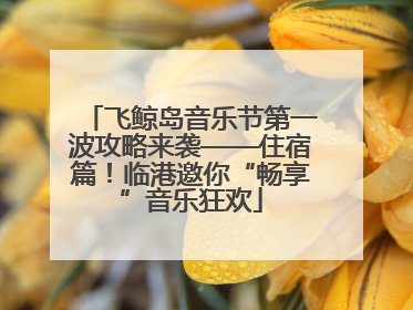 飞鲸岛音乐节第一波攻略来袭——住宿篇！临港邀你“畅享”音乐狂欢