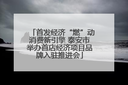 首发经济“燃”动消费新引擎 泰安市举办首店经济项目品牌入驻推进会