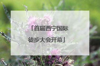 首届西宁国际徒步大会开幕